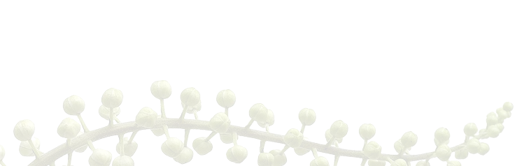 Understanding Ze 450