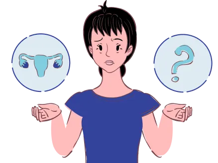 Périménopause Périménopause